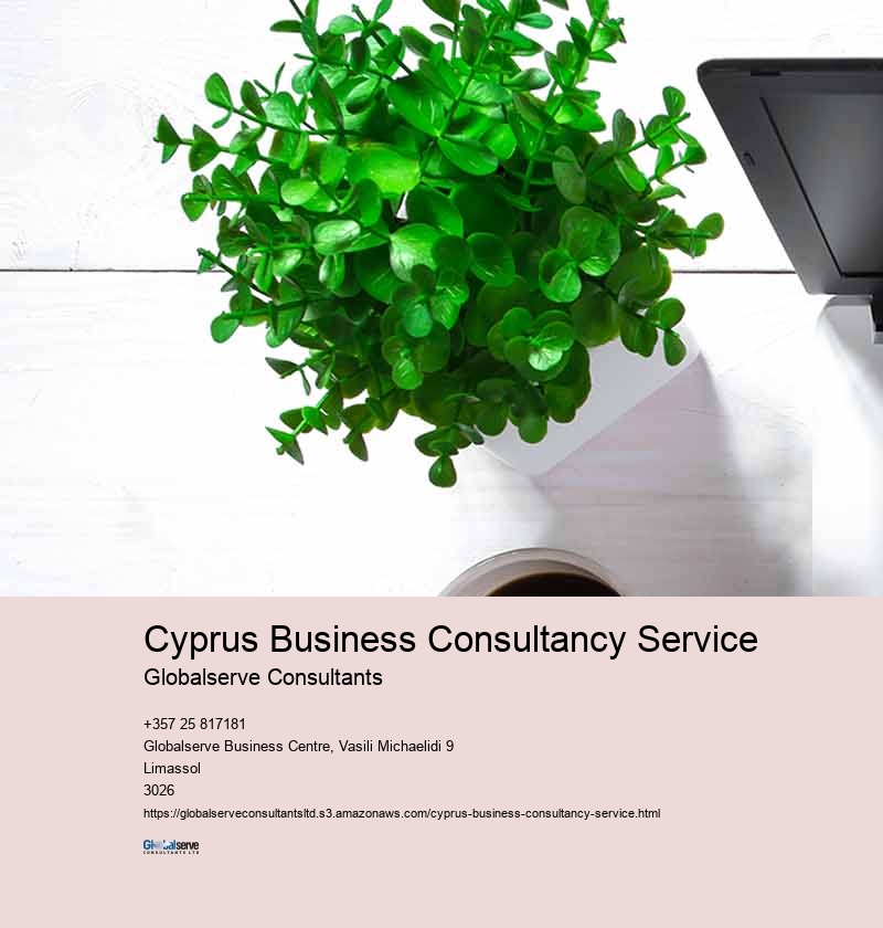 Cyprus Business Consultancy Service